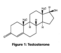 testosterone molecule